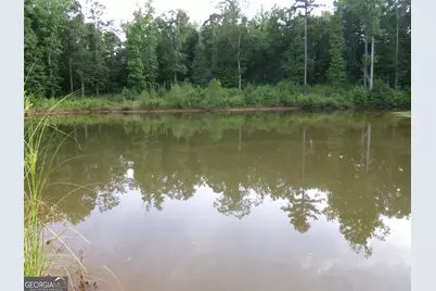 +/- 14 Acres Youth Jersey Road, Covington, GA 30014 - Photo 30