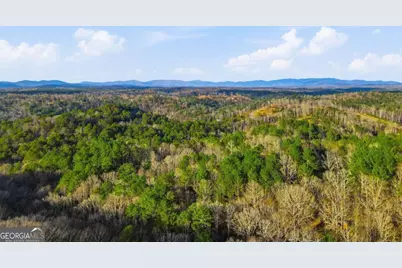 677 Catawba Circle, Ellijay, GA 30540 - Photo 62
