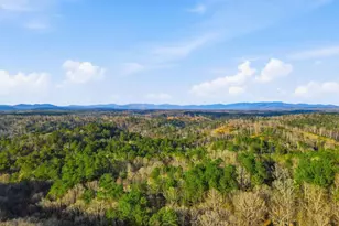 677 Catawba Cir, Ellijay, GA 30540 - Photo 62