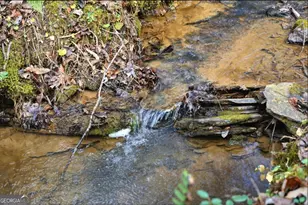 677 Catawba Cir, Ellijay, GA 30540 - Photo 2