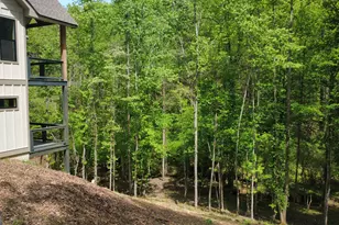677 Catawba Cir, Ellijay, GA 30540 - Photo 78