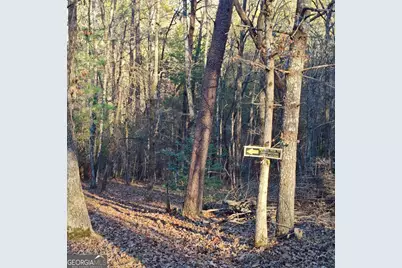 38 Sweetwater Trail #38, Epworth, GA 30541 - Photo 24