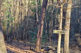 38 Sweetwater Trail, Epworth, GA 30541 - Photo 24