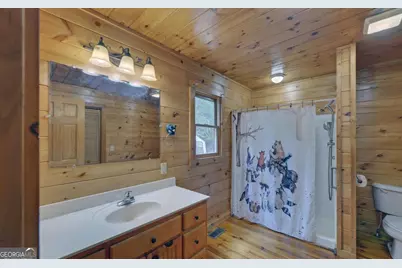 230 Pine Forest Loop, Blue Ridge, GA 30513 - Photo 20