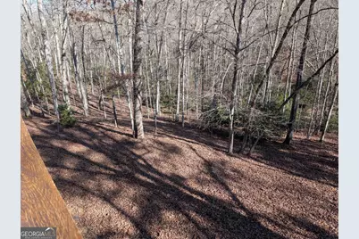 230 Pine Forest Loop, Blue Ridge, GA 30513 - Photo 38