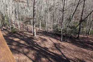 230 Pine Forest Loop, Blue Ridge, GA 30513 - Photo 38