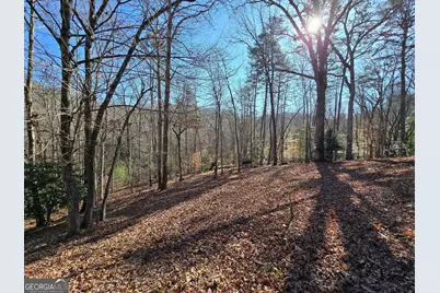 230 Pine Forest Loop, Blue Ridge, GA 30513 - Photo 34