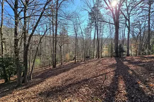 230 Pine Forest Loop, Blue Ridge, GA 30513 - Photo 34