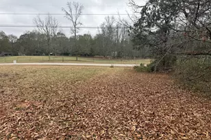 60 Wessmanor Dr, Bowdon, GA 30108 - Photo 38