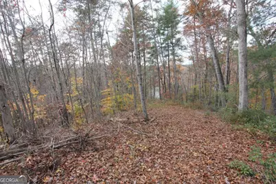 363 Lake Road, Dawsonville, GA 30534 - Photo 36