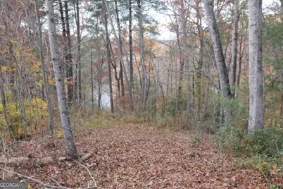 363 Lake Road, Dawsonville, GA 30534 - Photo 38