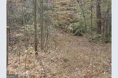 363 Lake Road, Dawsonville, GA 30534 - Photo 32