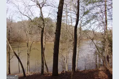 363 Lake Road, Dawsonville, GA 30534 - Photo 2