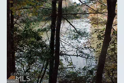 363 Lake Road, Dawsonville, GA 30534 - Photo 40