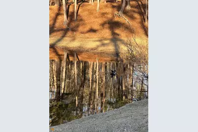 Lot 1 &amp; Lot 15 Mountain Ridge Drive, Waverly Hall, GA 31831 - Photo 16