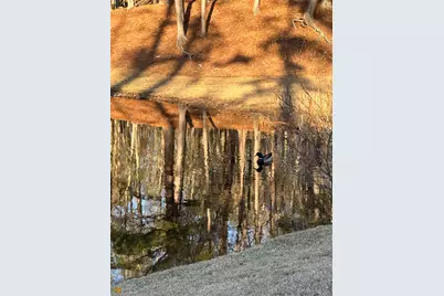 Lot 19 Mountain Ridge Drive, Waverly Hall, GA 31831 - Photo 10