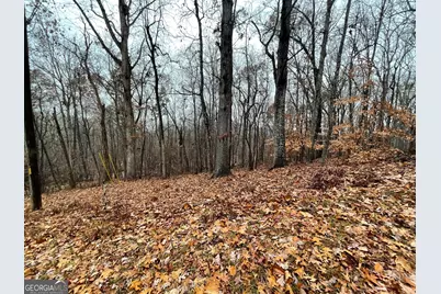 0 S Arrowhead Drive #LOT 2134, Westminster, SC 29693 - Photo 4