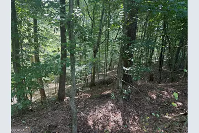 14.4 Acres Roy Parks Road, Talmo, GA 30575 - Photo 14