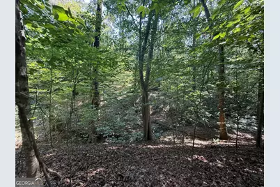 14.4 Acres Roy Parks Road, Talmo, GA 30575 - Photo 16