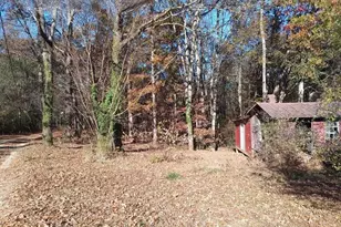 265 Perry Ln, Buchanan, GA 30113 - Photo 10