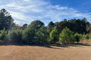 6419 Cochran Hwy, Cochran, GA 31014 - Photo 26