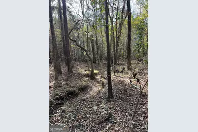 6419 Cochran Highway, Cochran, GA 31014 - Photo 50