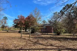 6419 Cochran Hwy, Cochran, GA 31014 - Photo 36