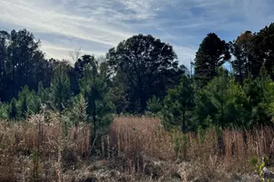 6419 Cochran Hwy, Cochran, GA 31014 - Photo 38