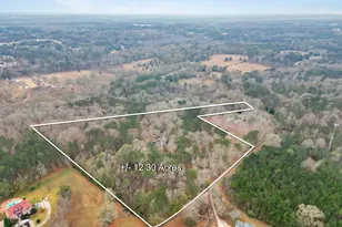 3003 SW East Fairview Rd, McDonough, GA 30252 - Photo 46