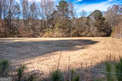 0 W McIntosh Road, Brooks, GA 30205 - Photo 12