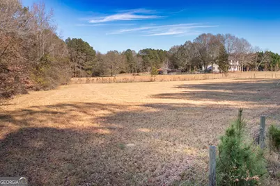 0 W McIntosh Road, Brooks, GA 30205 - Photo 14