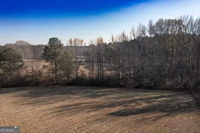 0 W McIntosh Road, Brooks, GA 30205 - Photo 24