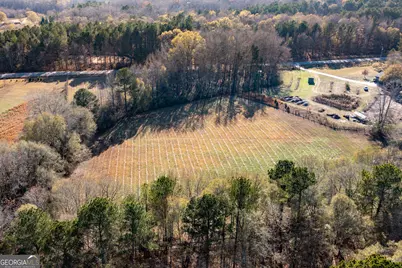 0 W McIntosh Road, Brooks, GA 30205 - Photo 20