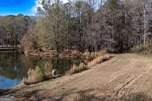 0 W McIntosh Rd, Brooks, GA 30205 - Photo 1