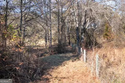 0 W McIntosh Road, Brooks, GA 30205 - Photo 16