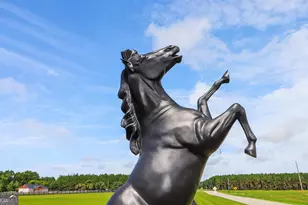 1603 Boutwell Rd, Perry, GA 31069 - Photo 4