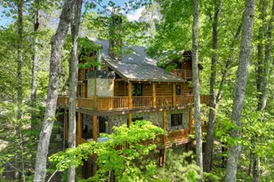 536 Lakeview Rd, Blue Ridge, GA 30513 - Photo 40