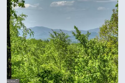 536 Lakeview Road #25, Blue Ridge, GA 30513 - Photo 4