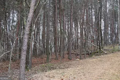 1217 Henderson Circle, Lyerly, GA 30730 - Photo 20