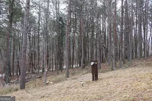 1217 Henderson Cir, Lyerly, GA 30730 - Photo 24