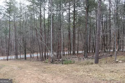 1217 Henderson Circle, Lyerly, GA 30730 - Photo 22