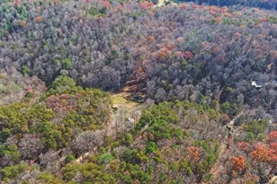 433 Valley Dr, Ellijay, GA 30536 - Photo 40