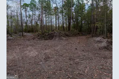 120 Womack Road #1.4 ACRES, Jesup, GA 31545 - Photo 10