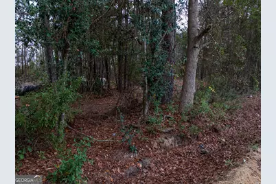 120 Womack Road #1.4 ACRES, Jesup, GA 31545 - Photo 8