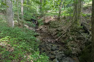 1249 Trackrock Gap Rd, Blairsville, GA 30512 - Photo 8