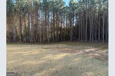 708 Traveler Lane #LOT 54, Williamson, GA 30292 - Photo 54