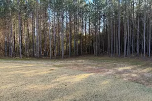 708 Traveler Ln, Williamson, GA 30292 - Photo 54