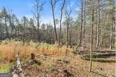 1361 Soque Ridge Circle, Demorest, GA 30535 - Photo 4