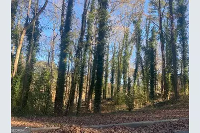 0 Lakeside Drive, Ellenwood, GA 30294 - Photo 2