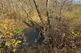 3590 Goshen Creek Rd, Clarkesville, GA 30523 - Photo 82